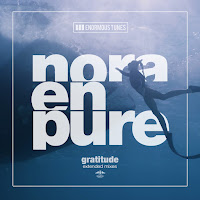 Nora En Pure - Gratitude (Extended Mix) загрузить