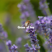 Office Music Experts - Atmospheric Social Options загрузить