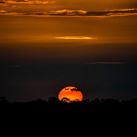 Oliver Jensen - Have загрузить