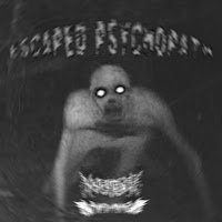 кнопка загрузки