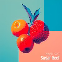 Обложка песни 