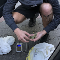 Pashanim - Zwannis загрузить