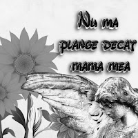 Petrecere La Romani - Viata E Frumoasa загрузить