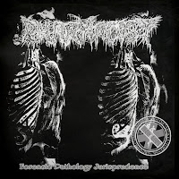 Pharmacist - Forensic Pathology Jurisprudence загрузить