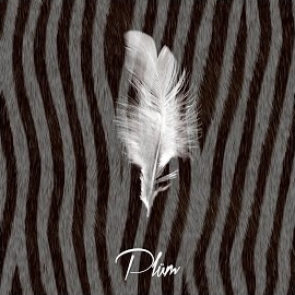 Plüm - You're The One загрузить