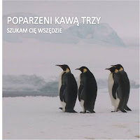 Poparzeni Kawą Trzy - Szukam Cię Wszędzie загрузить