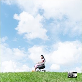 Pouya - Life? ... Lol Ft Rocci загрузить