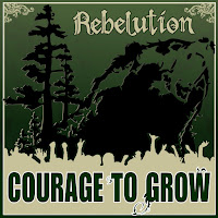 Rebelution - Safe And Sound загрузить