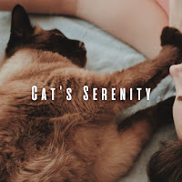 Riverfall Science - Soothing River Meows Ft Relax My Cat & Sleepy Cats загрузить