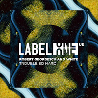 Robert Georgescu - Trouble So Hard Ft White загрузить