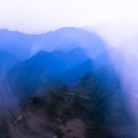 Rodionis - Birds загрузить