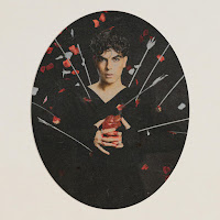 Rokas Yan - Gėlių Vaikai загрузить