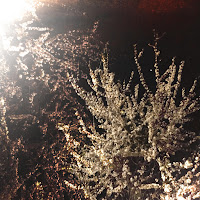 Rory In Early 20S - Dare Mo Nokotte Inai, Eien Ni Hitorida загрузить