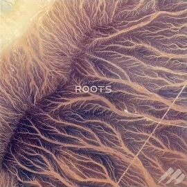 Ross Lara - Roots загрузить