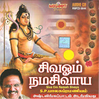 S.p. Balasubramaniam - Engum Sivame загрузить
