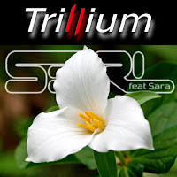 S3Rl - Trillium (Feat. Sara) загрузить