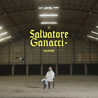 Salvatore Ganacci - Horse загрузить