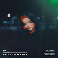 Sam Helix - Shoulda Known загрузить
