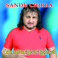 Sandu Ciorba - Pe Cimpoi загрузить