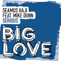 Seamus Haji - Serious (Extended Mix) (Feat. Mike Dunn) загрузить