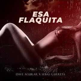 Sebas Garreta - Esa Flaquita Ft Dj Dave Aguilar mp3 скачать