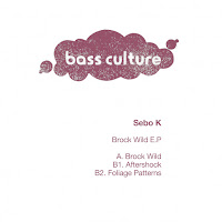 Sebo K - Foliage Patterns загрузить