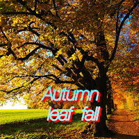 Sergey Grischuk - Autumn Leaf Fall загрузить