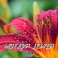 Сергей Грищук - Мелодия Дождя загрузить