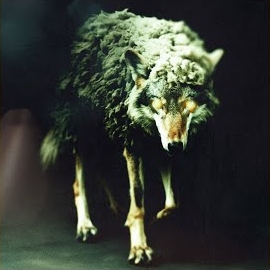 Set It Off - Wolf In Sheep's Clothing [Reborn] загрузить