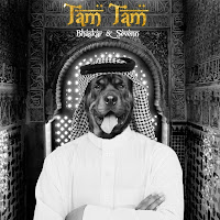 Sevenn - Tam Tam (Radio Edit) Ft Bhaskar загрузить