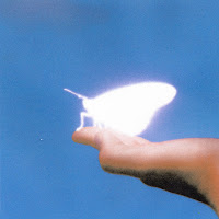 Shallou - Let Go загрузить