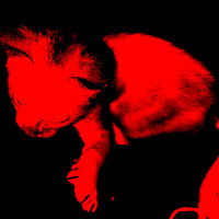 Sho - Noir (Sl0Wed Down) загрузить