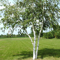 Шунт Валерий - Хозяева Жизни загрузить