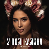 Skylerr - У Полі Калина загрузить