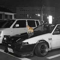 Soviss - Kitty Phonk загрузить