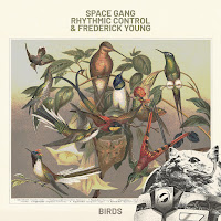 Space Gang - Birds Ft Rhythmic Control & Frederick Young загрузить
