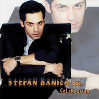 Stefan Banica - Mi-E Dor De Ochii Tăi загрузить