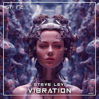 Steve Levi - Vibration (Extended Mix) загрузить