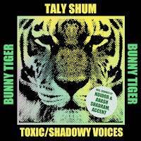 Taly Shum - Shadowy Voices (Noidor, Arash Shadram Remix) загрузить
