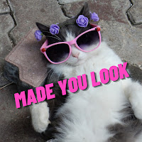 Tasty Viral Trend - Made You Look (Slowed+Reverb) (Remix) загрузить