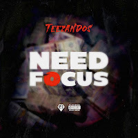 Teezandos - Need Focus загрузить