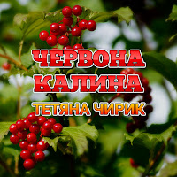 Тетяна Чирик - Не Відлітай загрузить