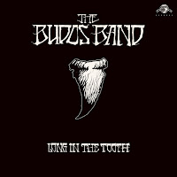 The Budos Band - Budonian Knight загрузить
