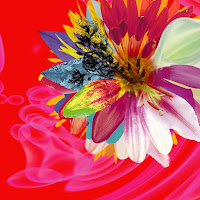 The Gazette - Toguro загрузить