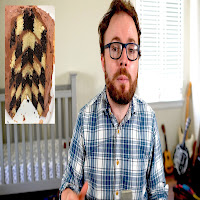 The Ukulele Teacher - Paperback Writer загрузить