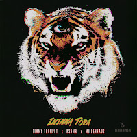 Timmy Trumpet - Ininna Tora Ft Kshmr & Mildenhaus загрузить