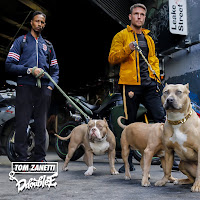 Обложка песни 