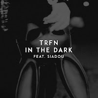 Trfn - In The Dark Ft Siadou загрузить