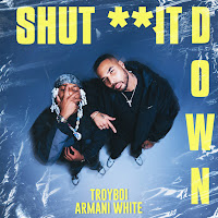 Troyboi - Shut It Down Ft Armani White загрузить