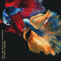 Victor Lundberg - Tell Me Should I’ve Known загрузить